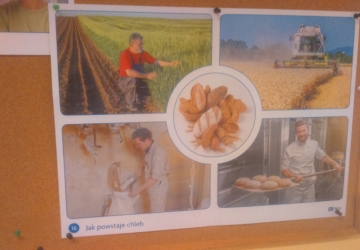 Powiększ obraz: Jak powstaje chleb - poznanie pracy piekarza